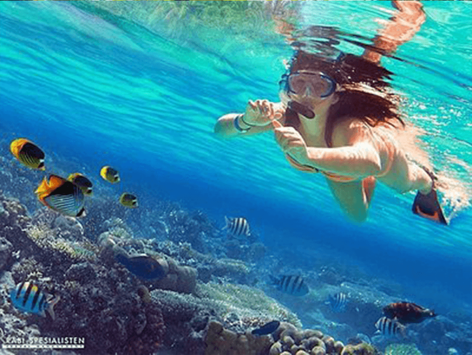 Scuba diving in Krabi's coral reefs