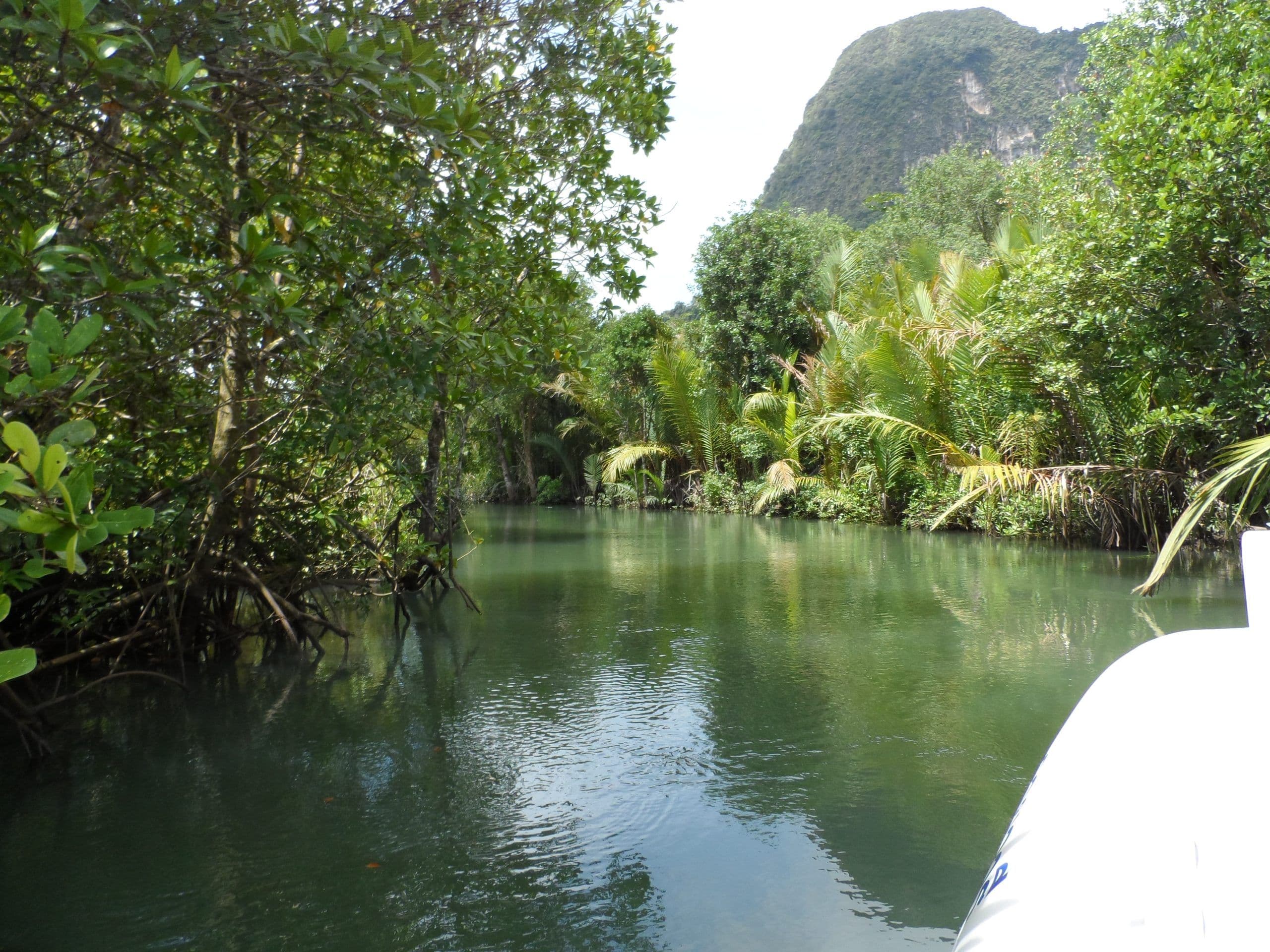 Island Hopping Tours - Image