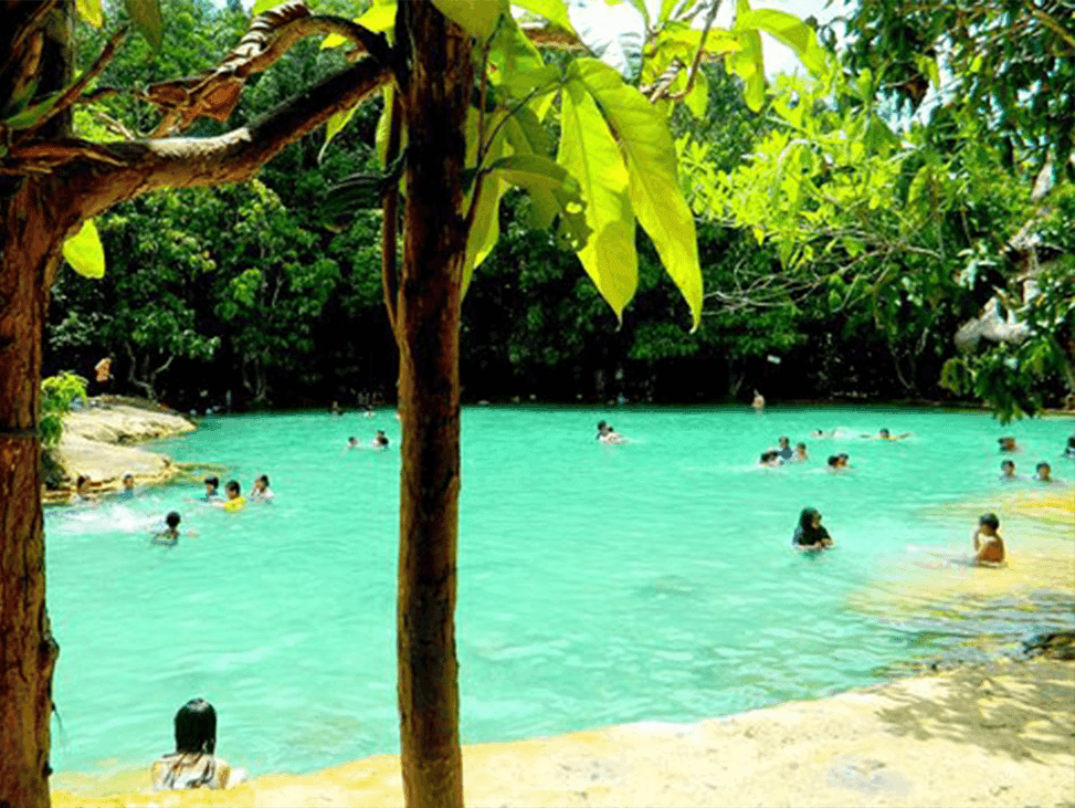 Jungle Trekking & Nature Tours - Image