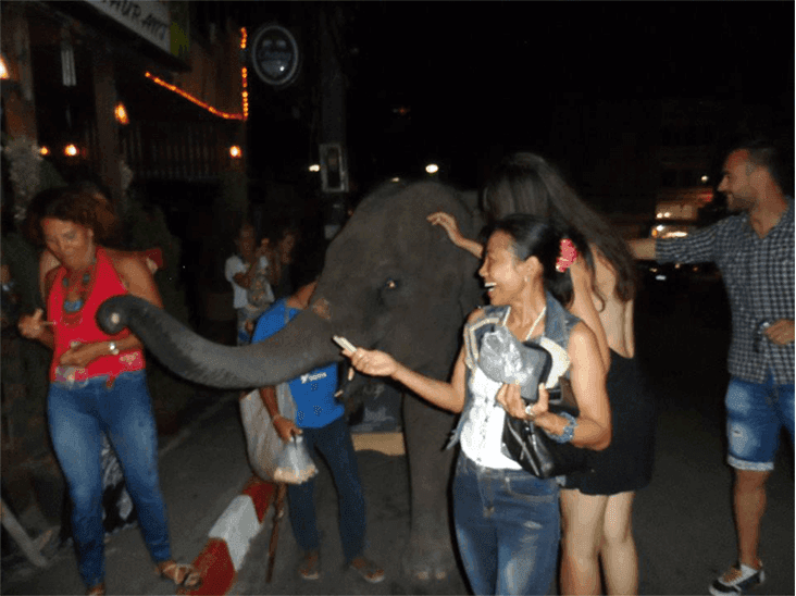 Cultural Experiences & Local Tours - Image